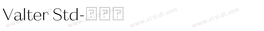 Valter Std字体转换